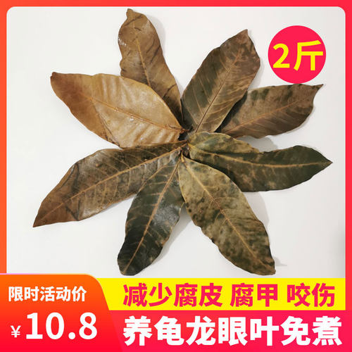 龟用龙眼叶养龟神器用品懒人叶鱼缸降酸树叶斗鱼降低ph养乌龟腐皮