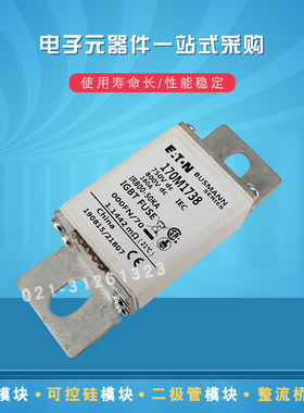 快速熔断器170M1732 1733 1734 1735 1736 1737 1738 1739保险丝
