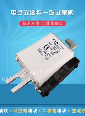 熔断器保险丝170M5246 5247 5248 5249 5250 5257 5258 5259 5260