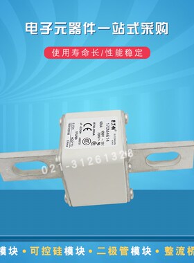 快速熔断器保险丝170M4615 4616 4617 4618 4619 4656 4659 4658