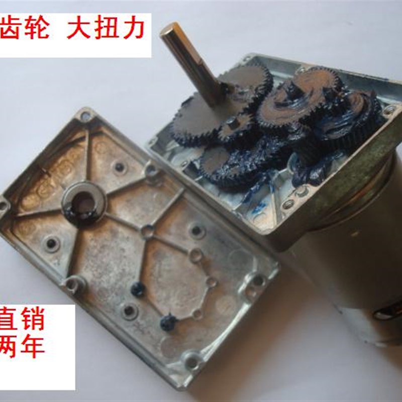 FC-555/550直流齿轮减速电机 10Nm马达 双轴 电动大蒜切胡机