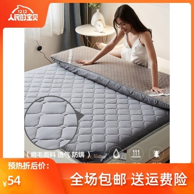 床垫软垫冬天毛绒打地铺隔寒垫垫被毡子床垫被揉子床褥大床加厚