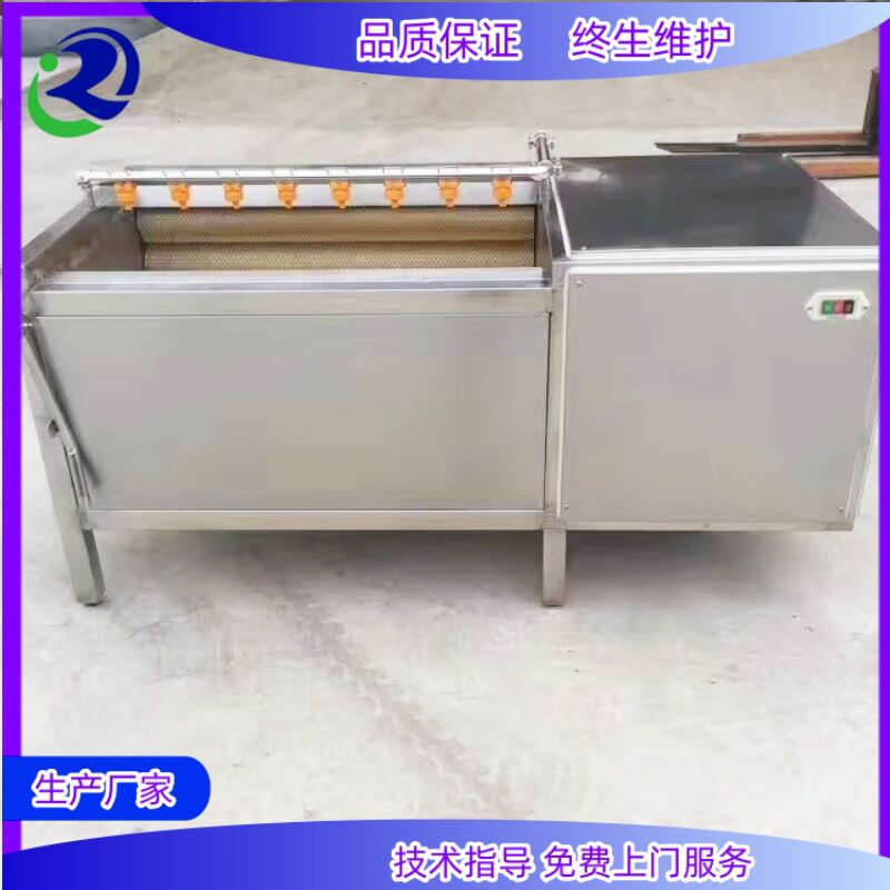 土豆莲藕毛辊清洗机 萝卜去泥加工清洗设备 海鲜加工气泡清洗机