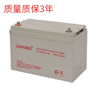 Loupower莱力蓄电池6-GFM-100现货供应莱力蓄电池12V100AH包邮