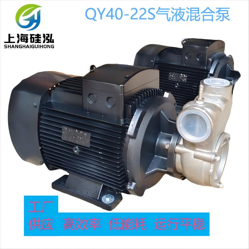 上海硅泓GHQY40-22S自吸式气液混合泵污水处理微纳米气泡泵