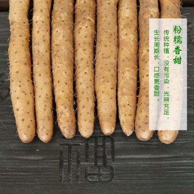 麻山药河北蠡县特产正宗垆土铁棍新鲜软糯五指细