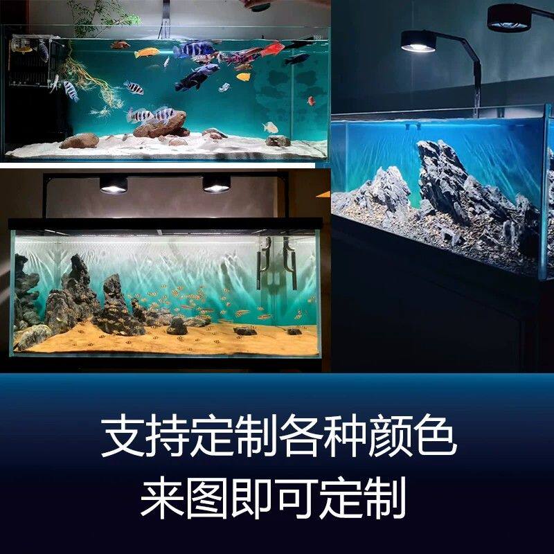 蓝青白正面自粘渐变色水族箱造景装饰壁纸新款鱼缸背景专用贴纸画