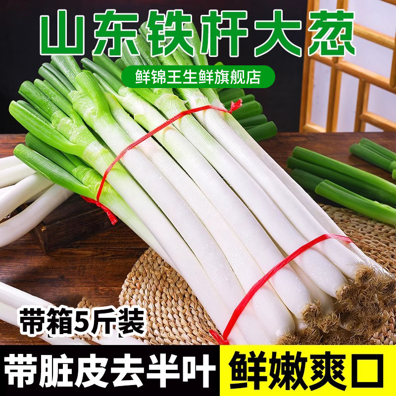 山东铁杆大葱5斤新鲜装甜葱大葱