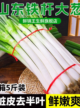 山东铁杆大葱5斤新鲜装甜葱大葱非章丘长白毛葱蘸酱嫩葱批发便宜