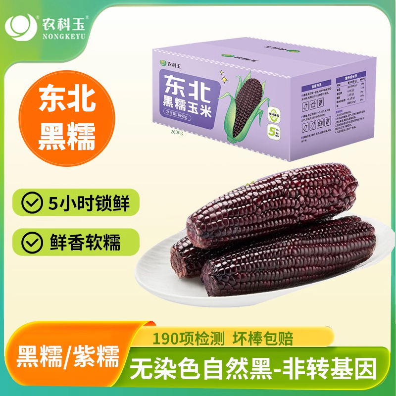 农科玉东北黑糯玉米紫玉米