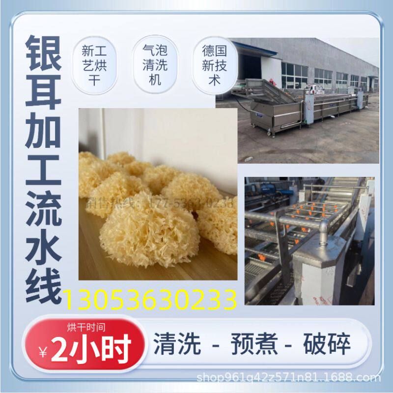 商用甘蓝洗菜机 黑木耳银耳去杂清洗设备 鸡毛菜韭黄气泡清洗机