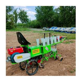 两行甜菜药材移植机 辣椒西红柿播种机 蔬菜秧苗移栽机 自走式