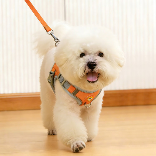 【小红薯10w+爆款！】背心牵引绳