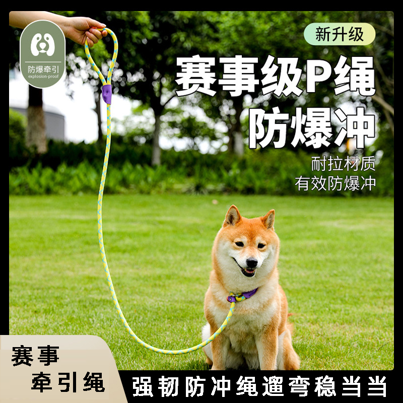 宠物牵引绳赛级P绳防爆冲耐磨耐咬安全扣宠物用品猫狗通用遛狗绳,宠物/宠物食品及用品,狗牵引绳,淘宝优惠券,粉丝福利购,淘宝优惠卷