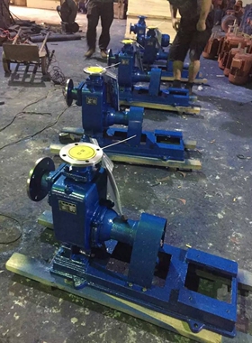 100ZW80-20PB（304不锈钢防爆）自吸无堵塞排污泵