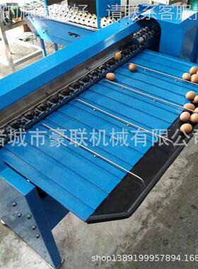鸡蛋分SGR级精大准分选鸡蛋机小 加光鸡检检测蛋好坏 吸盘上蛋输