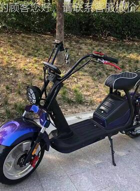 工厂出C1OX11 新款C变色龙EEC2寸铝轮电动车哈雷车CCITYCOO 口BIK