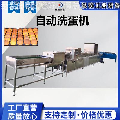 养 场鸡洗蛋机VSC清洗鸡蛋表面粪便粘液的器 鹌鹑蛋清洗机风干机