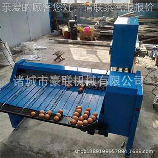 CTN养殖场 时5400级枚高效精准分选鸡 鸡蛋分机 产量每蛋小