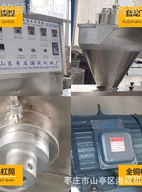 大豆蛋机白肉机 麻厂ILP辣制品型 新型电动胡辣成汤面筋机家