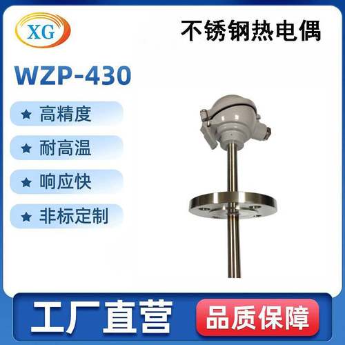 WZP-430仪器热电阻温度传感器pt