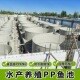 承包PP鱼池焊接工程防水耐腐蚀保障提供水产养殖鱼池现场施工团队