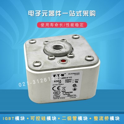 全新现货熔断器保险丝170M6415 6416 6417 6418 6419 6420 6421
