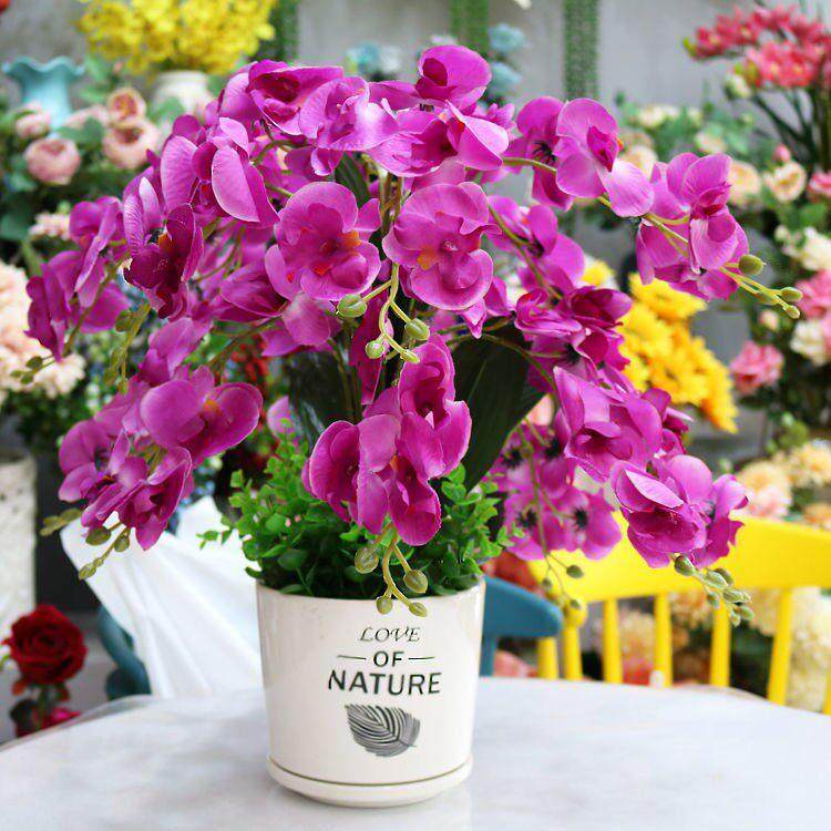 仿真花蝴蝶兰套装盆栽家居客厅餐厅摆设绢花电视柜办公室装饰假花,家居饰品,仿真花/假花,淘宝优惠券,粉丝福利购,淘宝优惠卷