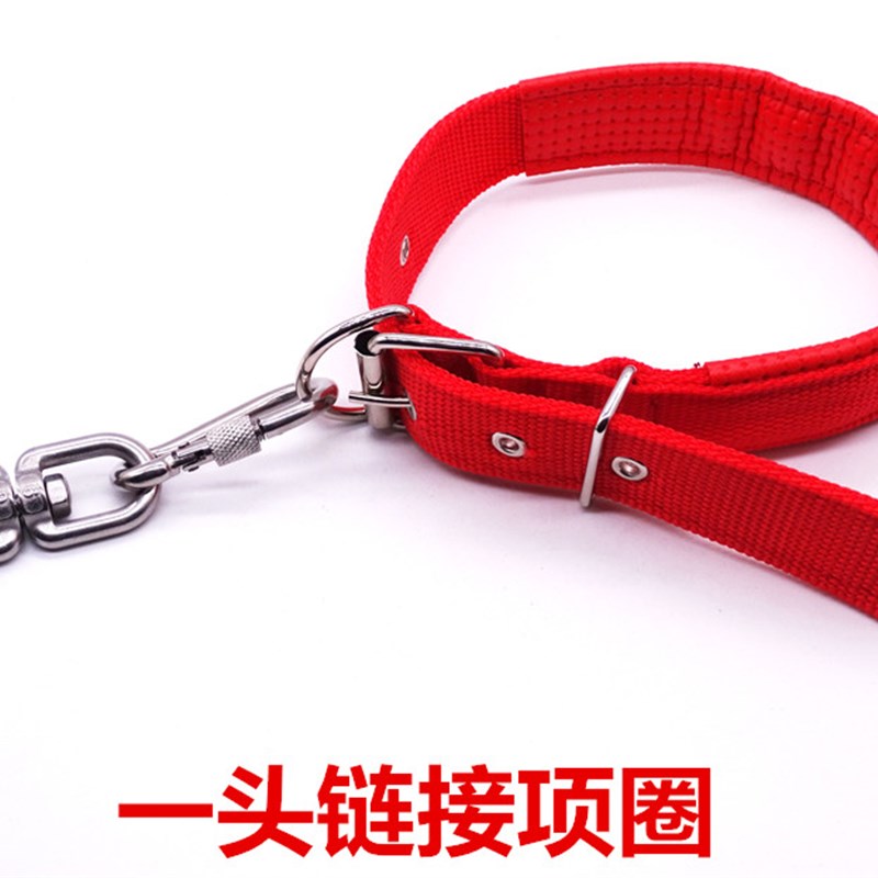 304不锈钢狗链子中型狗狗牵引绳铁链子大型犬遛拴狗绳子德牧加粗