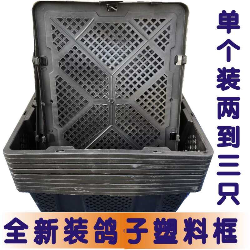 全新水果塑料筐带盖镂空鸽子兔子宠物活禽运输笼快递打包周转箱筐