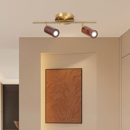 木斯特北欧led射灯客厅墙灯黑胡桃实木服装店轨道过道复古射灯