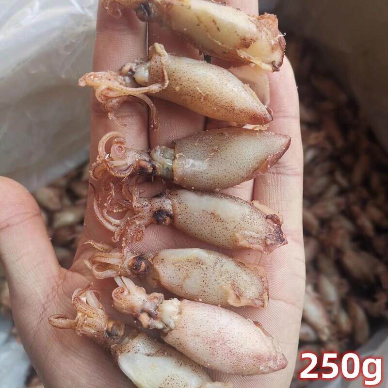 海鲜干货海兔干当季新晒鱿鱼仔笔管鱼干小乌贼墨鱼干产地直发500g
