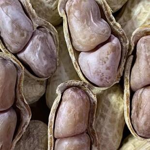 正宗水煮日晒花生龙岩花生零食晒干带壳蒜香五