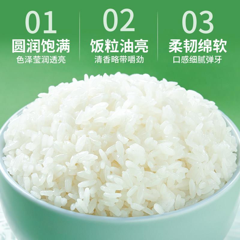 十月稻田东北长粒香米一年一季5kg袋装 红豆绿豆粥高品质食材原料