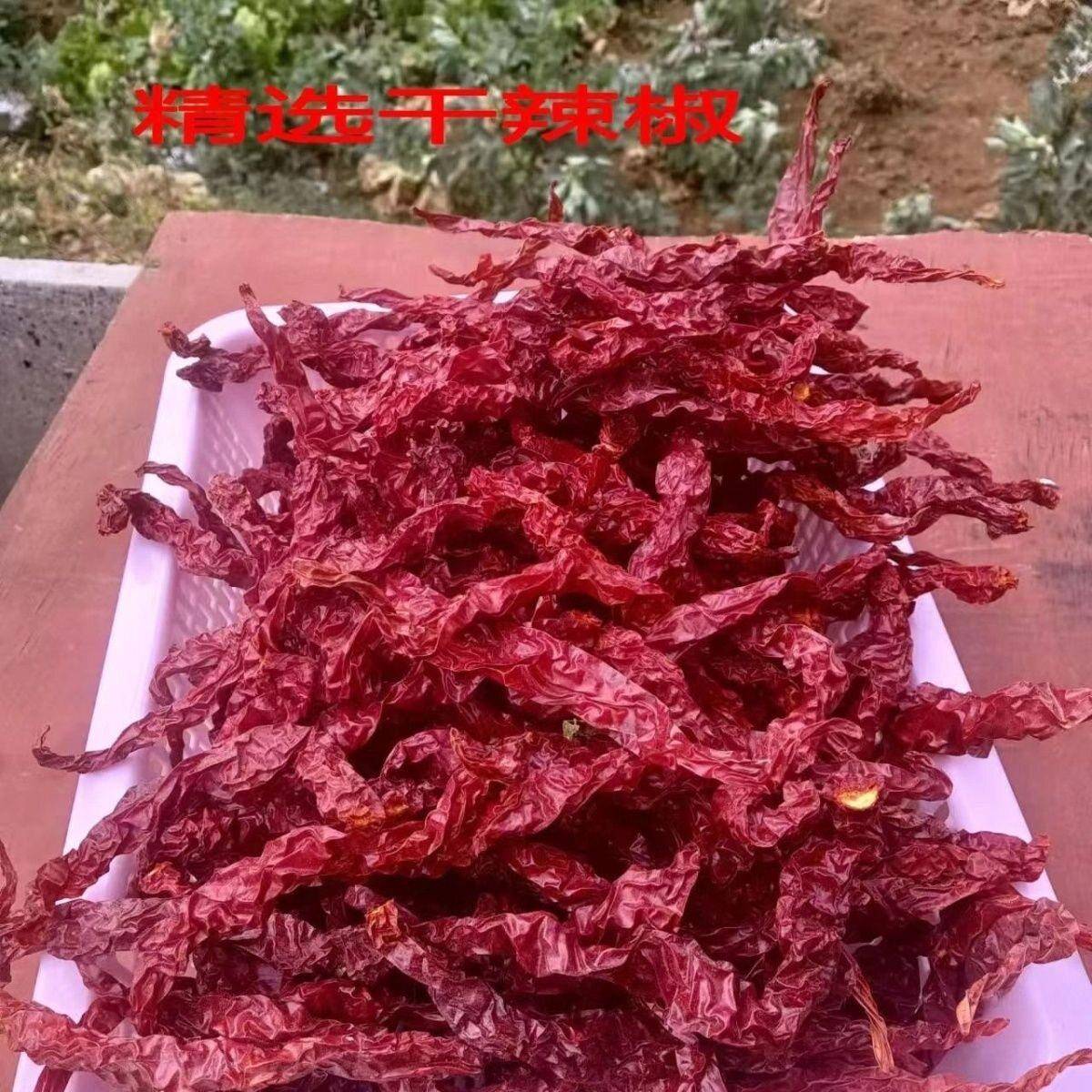 贵州干 干辣椒大方皱椒线 线椒皱皮辣椒带绳辣椒去把辣椒二荆条辣