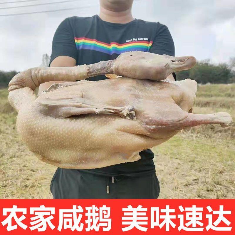 新货咸鹅咸鸭咸鸡老鹅年货