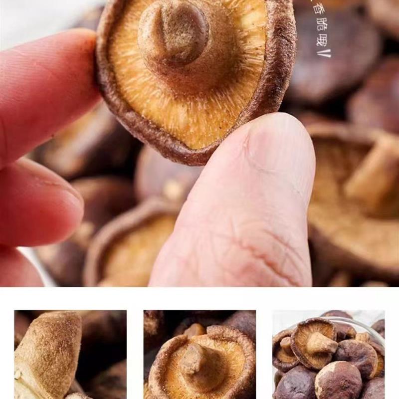 新货黑松露香菇脆片儿童孕妇果蔬脆蘑菇干蔬菜干脱水香菇干解