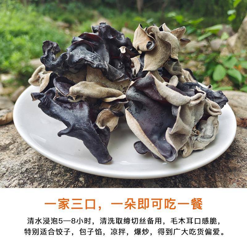 毛木耳干货500g散装脆木耳白背黑木耳天然美味大地耳四川火锅食材