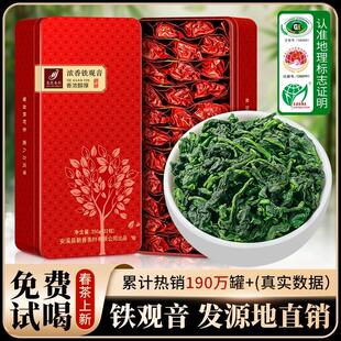 正宗2025正宗安溪春茶铁观音茶叶特级新茶浓香型自己喝礼