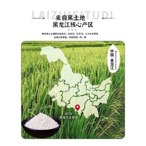 东北糯米新米5斤包粽子专用圆糯米白江米酿酒香农家新鲜杂粮