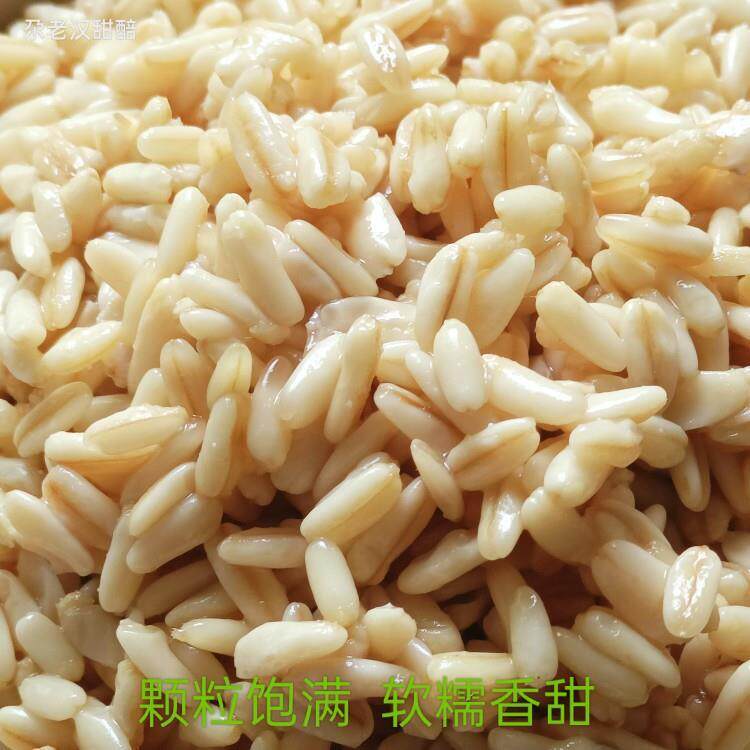 会宁尕老汉甜胚子甘肃兰州特产燕麦甜醅子奶茶商用袋装甜坯子2斤