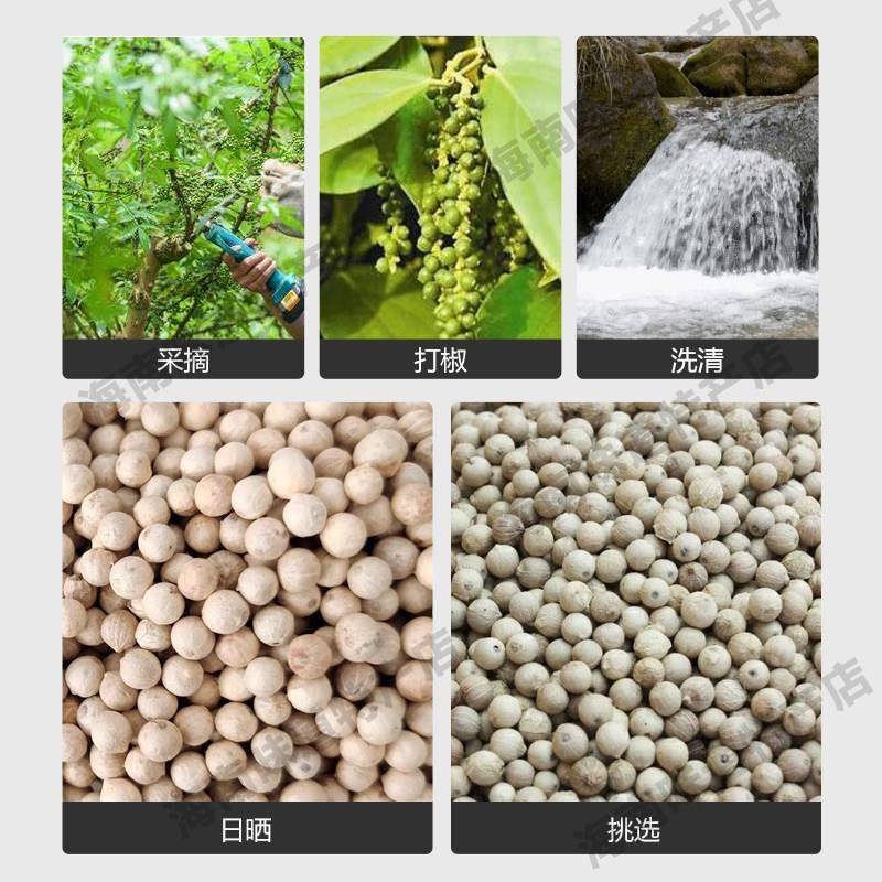 海南特产纯正天然白胡椒粒500g调味可打散粉暖胃调料香料商用家用