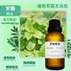 纯植物罗勒精油单方抗抑郁镇痛腹胀脾胃去粉刺缓解头痛提神