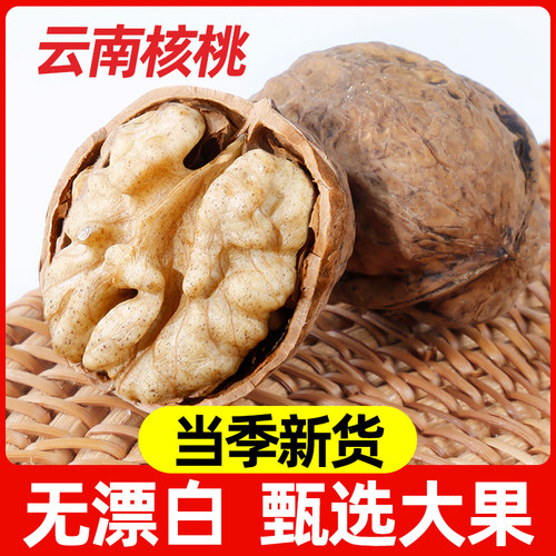 2025新货纸皮核桃云南原味薄皮生核桃新鲜干核桃坚果零食孕妈可吃
