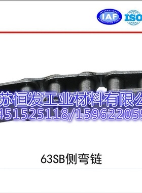 63SBF1转弯机链 63SB侧弯链 63SB侧弯链-不锈钢