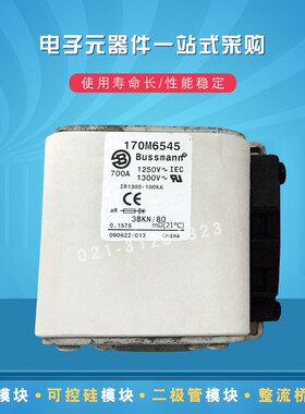 巴斯曼熔断器保险丝170M6521 6524 6534 6538 6539 6540 6541全新