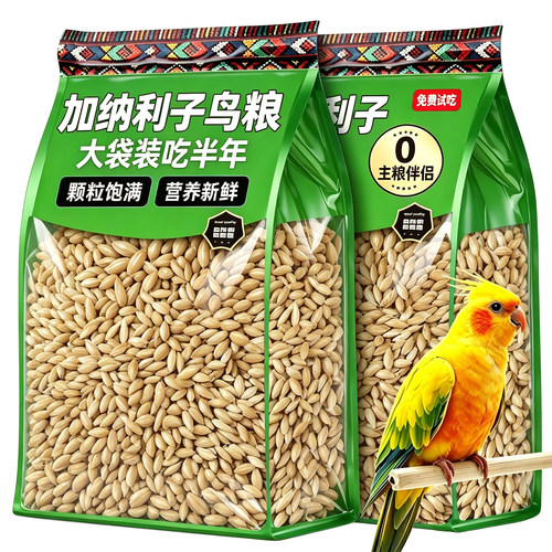 加纳利子鹦鹉鸟粮鸟食饲料专用