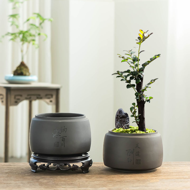 中式禅意盆景小叶紫檀文竹专用紫砂花盆陶瓷客厅阳台桌面摆件盆栽,鲜花速递/花卉仿真/绿植园艺,花盆,淘宝优惠券,粉丝福利购,淘宝优惠卷
