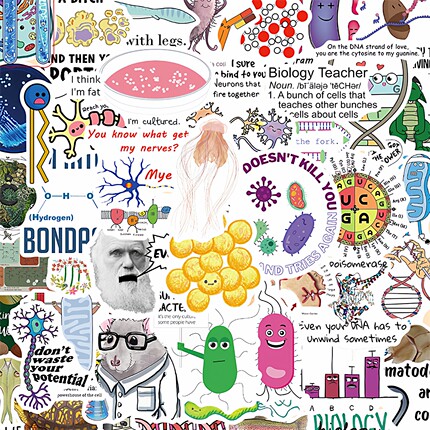 50张BiologySticker01细胞显微镜DNA双螺旋生物元素贴纸抽象艺术科普类贴画装饰手机电脑笔记本桌面手账素材