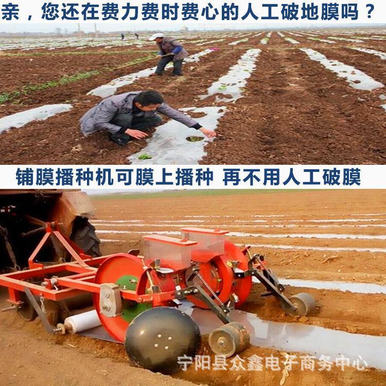 河北家用玉米精播机谷子点播机先铺膜后播种鸭嘴打孔免人工间苗